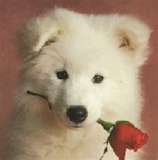 thumbnail[7].jpg, 3 KB